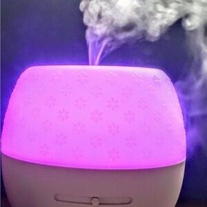 Scentsy multi colored  Aromatherapy Diffuser plus a Conair diffuser